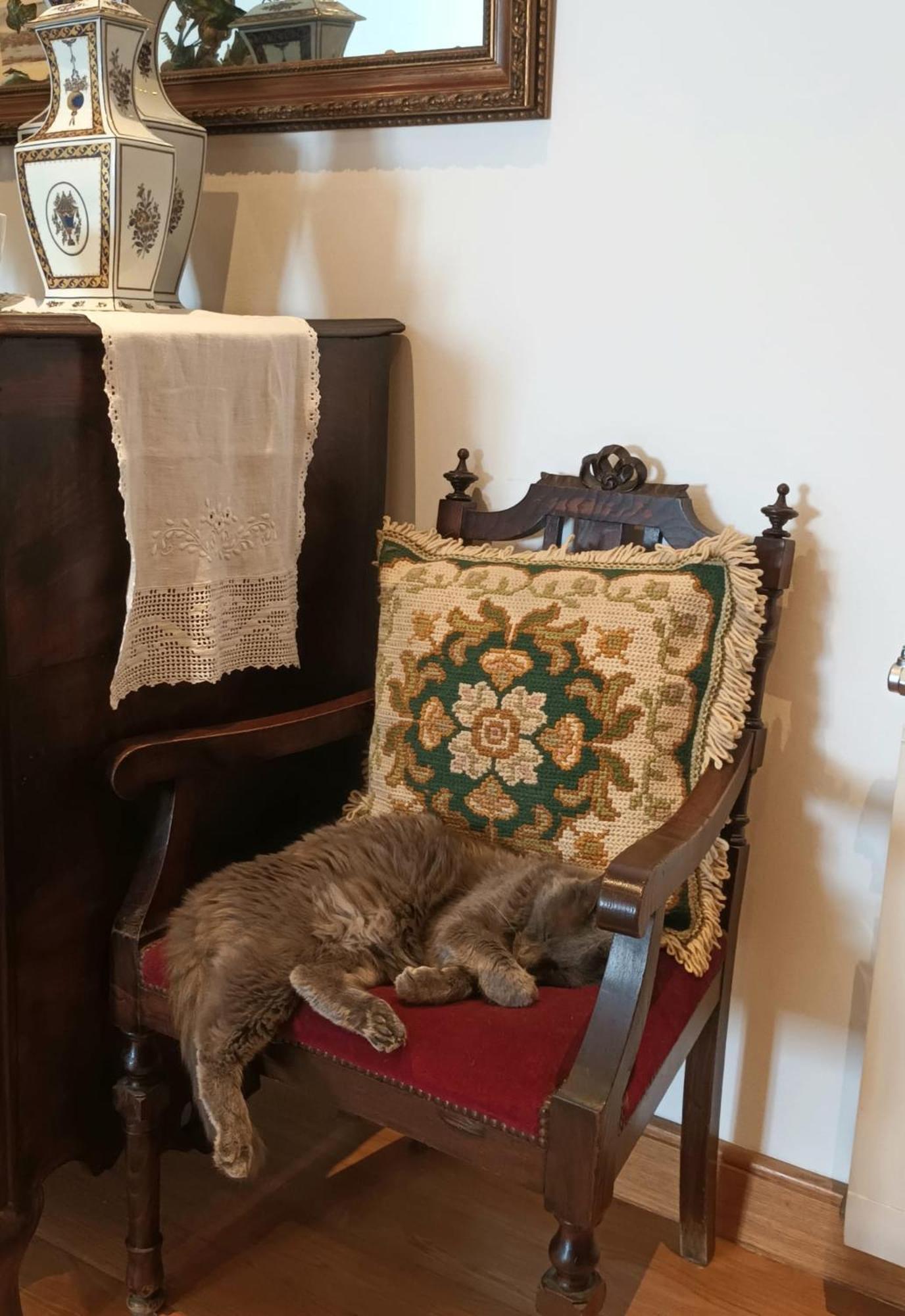 Casa De Sao Domingos Bed and Breakfast Peso da Régua Εξωτερικό φωτογραφία